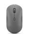 Lenovo 350 Bluetooth Silent Mouse Luna Grey (GY51S61904) Lenovo 350 Bluetooth Silent Mouse Luna Grey (GY51S61904)